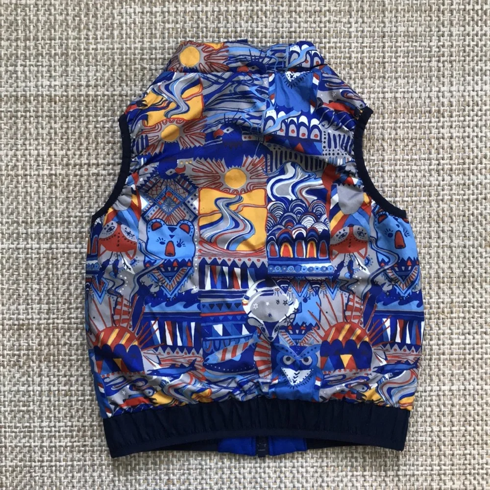 Patagonia Reversible Vest